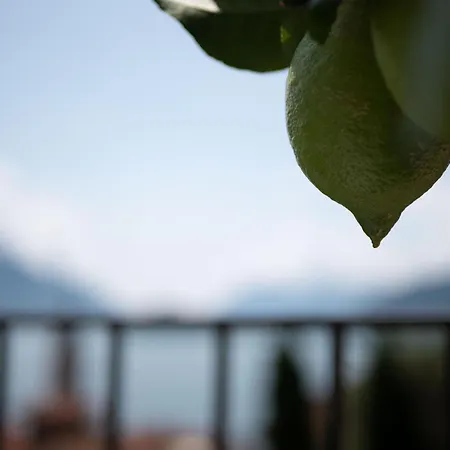 Casa Giorgio Luxury With Stunning View شقة ميناجيو