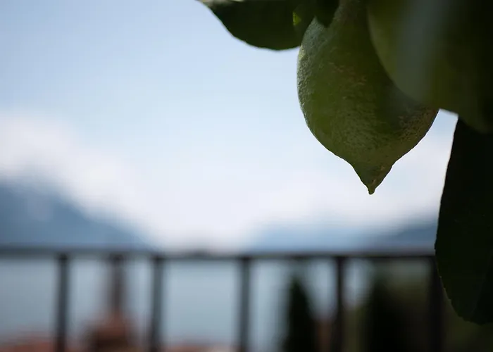 Casa Giorgio Luxury With Stunning View 아파트 메나지오